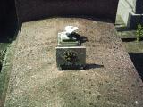 image of grave number 393703